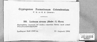 Image Associated With the Occurence
